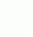 PALM clock cycles