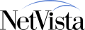 IBM NetVista wordmark